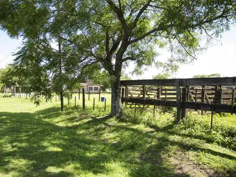 Terreno en Venta de 6085,0 m2