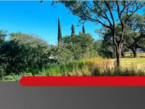 Lotes + Local Comercial en venta