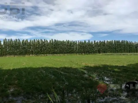 CHACRA DE 10HA EN VENTA EN SENILLOSA