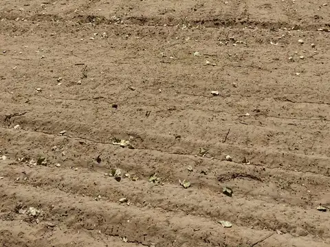 CHACRA DE 10HA EN VENTA EN SENILLOSA