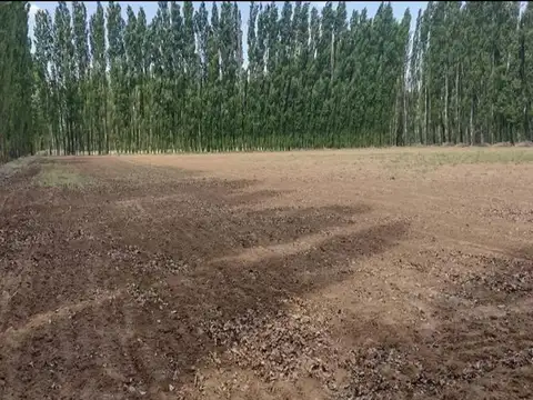 CHACRA DE 10HA EN VENTA EN SENILLOSA