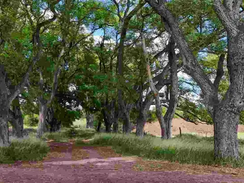 Terreno en Venta de 800,0 m2