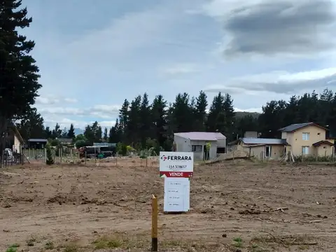 Doctor Daniel Barabino