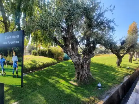 Lote en venta  en Terrazas Park Maipú.