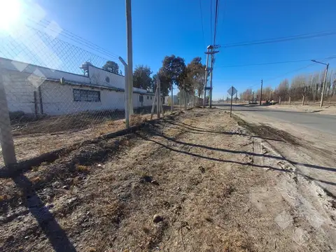 En Venta, Predio de 33000m², Galpón y Casa, Neuquén.