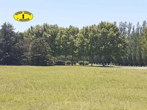 LA COLINA 5000 M2