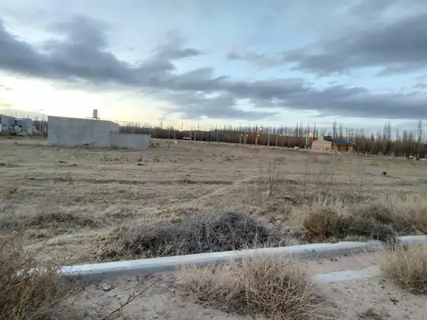 Terreno en Venta 33  mts Fondo