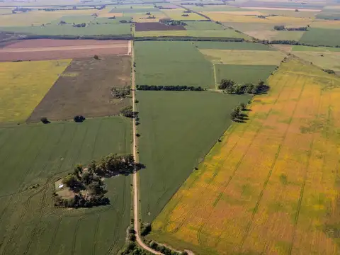 Campo en venta 93ha en Arrecifes
