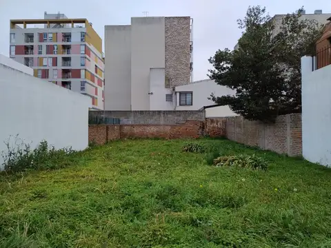 HIPOLITO YRIGOYEN  al 300