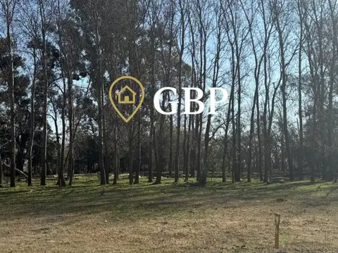 Xch8+hg, Cañuelas, Provincia De Buenos Aires