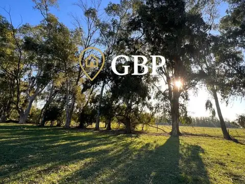 Campo en Venta de 1  ha