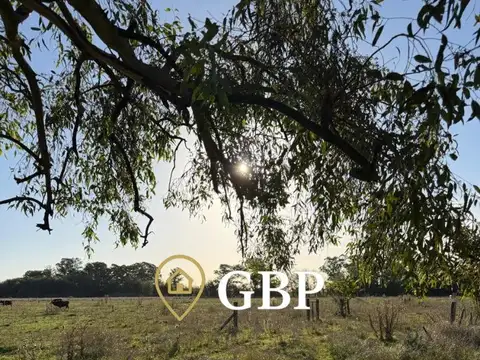Xch8+hg, Cañuelas, Provincia De Buenos Aires