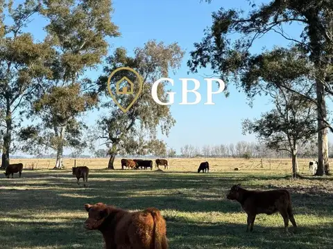 Chacra en venta en Cañuelas