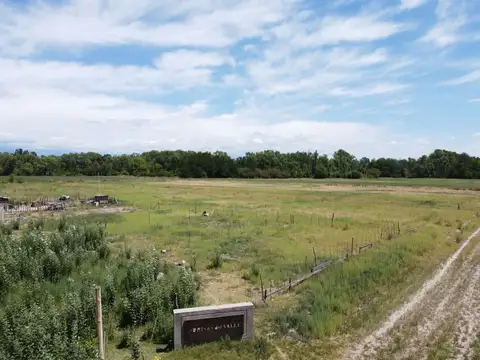 Terreno en Venta en Colonia Las Rosas, USD 8.500