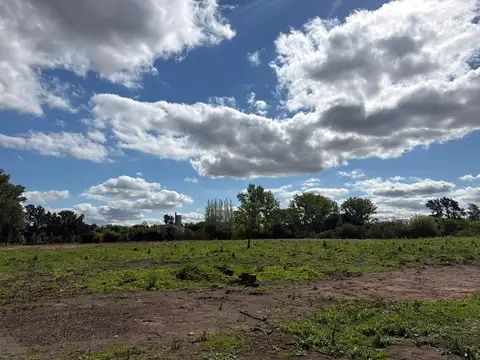 Terreno en Venta de 4382,0 m2
