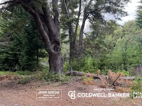 Boulevard Quetrihue al 1400