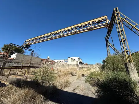 Verduga 100
