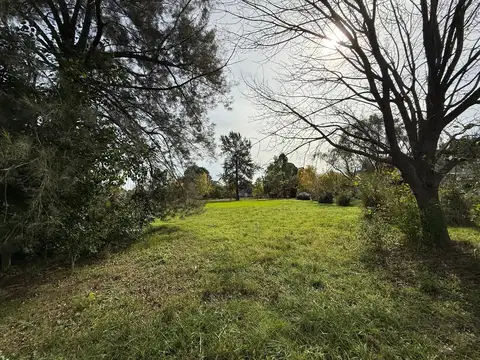 LA arbolada