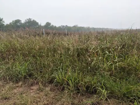 Terreno en Venta en Rio Ceballos, USD 18.000