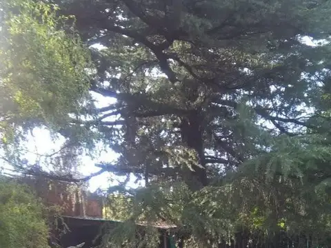 Terreno en Venta en La Reja, USD 30.000