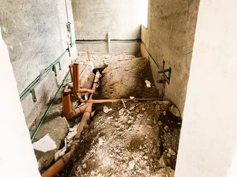 Godofredo Paladini 12500