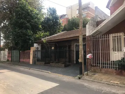 Maestra Ada Elflein 2500