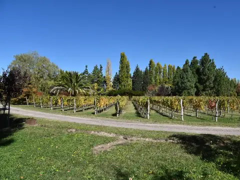 Casa en  Venta en Vistalba