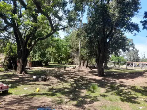 Portela y Roberto Payro 4400
