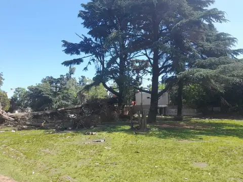 Terreno en Venta 85  mts Fondo