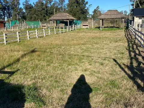 Terreno Haras "El Terraplen" Lote al 200