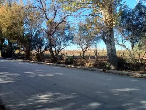 Terreno en Venta 10  mts Frente