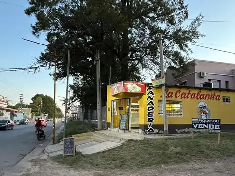 Irazusta y Molinari