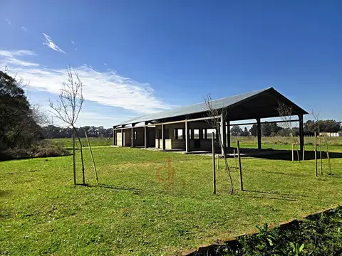 Estanislao San Zeballos al 1300