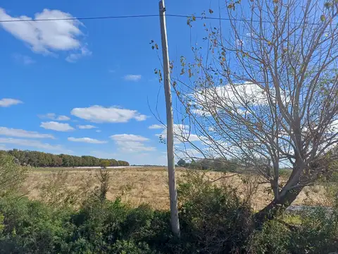VENTA ACEPTO CAMIONETA COMO PARTE DE PAGO  DE QUINTA DE 3.205 HECTAREAS SOBRE RUTA 1 A 2,060 KM DE RUTA 62
