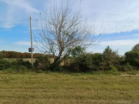 Campo en Venta de 3.250  ha