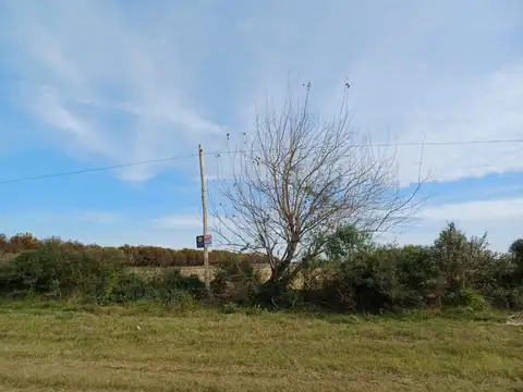 OPORTUNIDAD UNICA VENDE EN CAYASTA SANTA FE 3,2505 HECTAREAS AGRICOLAS.