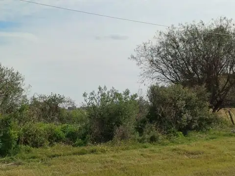 Campo en Venta de 3.250  ha