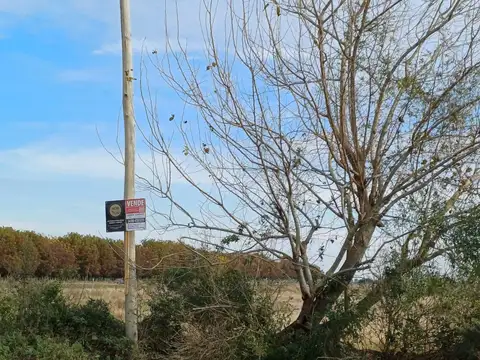 VENTA ACEPTO CAMIONETA COMO PARTE DE PAGO  DE QUINTA DE 3.205 HECTAREAS SOBRE RUTA 1 A 2,060 KM DE RUTA 62