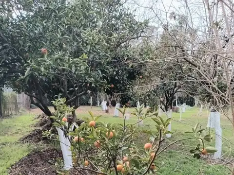 Quinta en Venta en Virrey Del Pino, USD 70.000