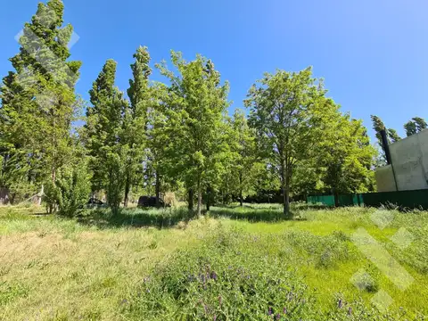 Venta lote B° Privado Cardinal Sur 756 m2 - Neuquén Capital
