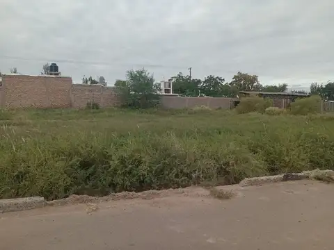 Juan Manuel de Rosas 100