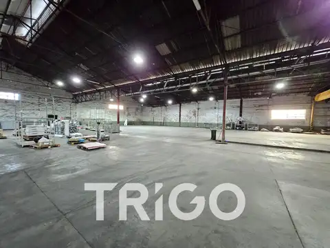 Carlos Pellegrini y Ugarte