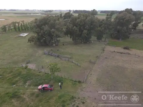 Campo en venta de 335 has 80% sembrable