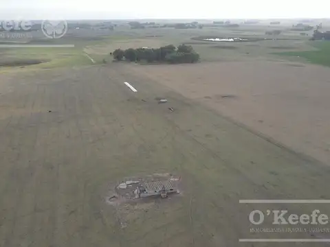 Campo en venta de 335 has 80% sembrable