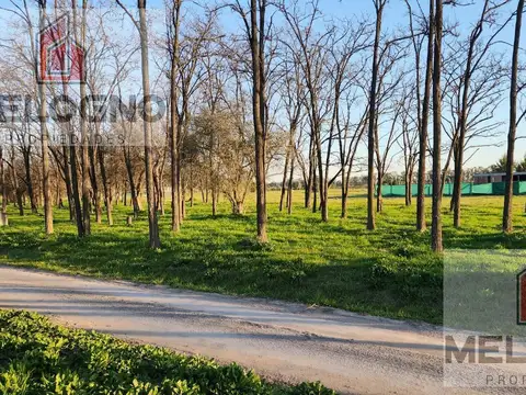 Terreno en Venta de 2000,0 m2