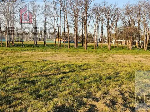 Terreno en Venta 40  mts Frente