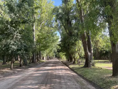 Terreno en Venta de 5000,0 m2