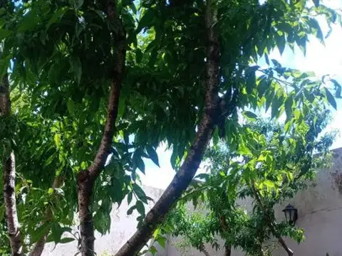 Casa en venta en Barrio Martin