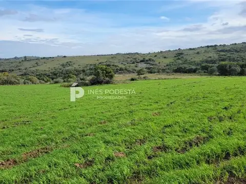 PROPIEDADES RURALES - CHACRA - PUEBLO EDÉN, PUNTA DEL ESTE