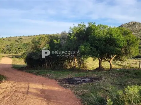 Campo en Venta de 11  ha